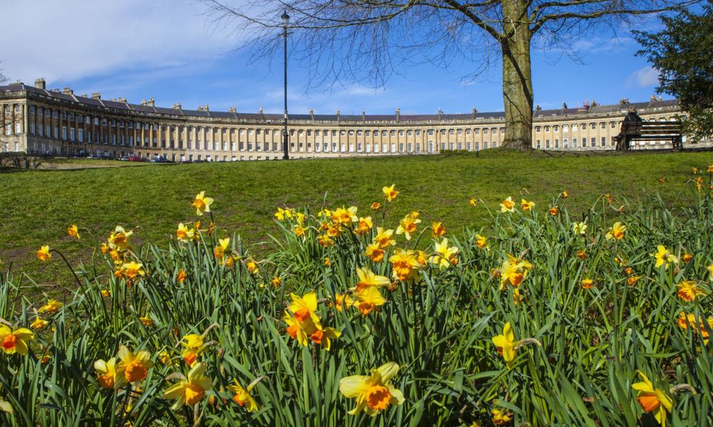 Francis Hotel dog friendly breaks in Bath