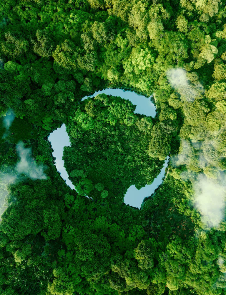 Francis Hotel Bath Sustainability Feedback